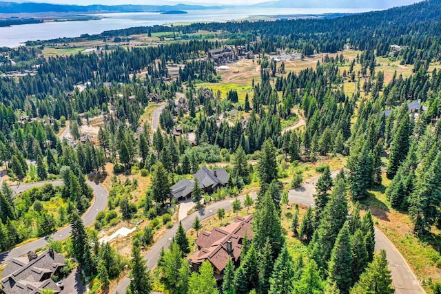 aerial view featuring a view of trees and a water view