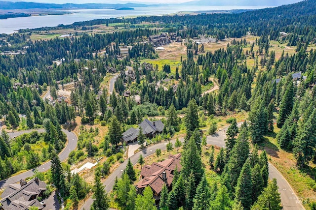 aerial view featuring a forest view and a water view