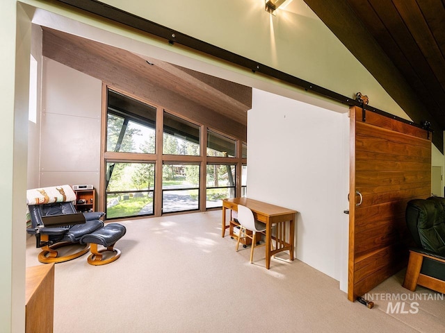 1115 Heavens Gate Ct, Mccall, ID 83638 - living area featuring carpet flooring and a barn door