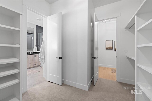 13625 Hickory Rnch, Nampa, ID 83651 - spacious closet with light carpet