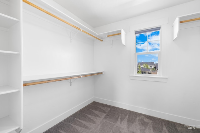 walk in closet with dark colored carpet