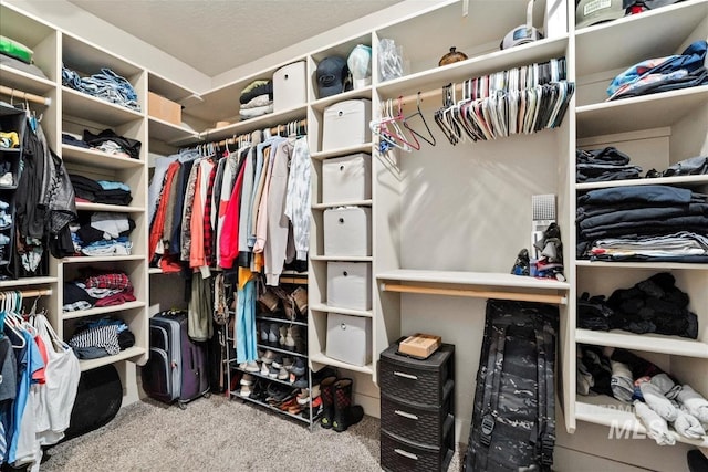 730 N Finsbury Way, Star, ID 83669 - walk in closet featuring carpet floors
