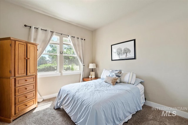 730 N Finsbury Way, Star, ID 83669 - carpeted bedroom with baseboards