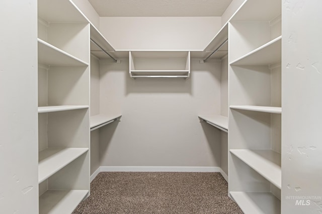 spacious closet with carpet