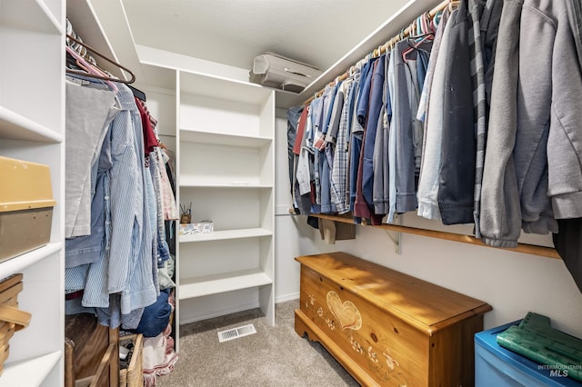 1177 N Lopez Ave, Eagle, ID 83616 - walk in closet featuring carpet floors