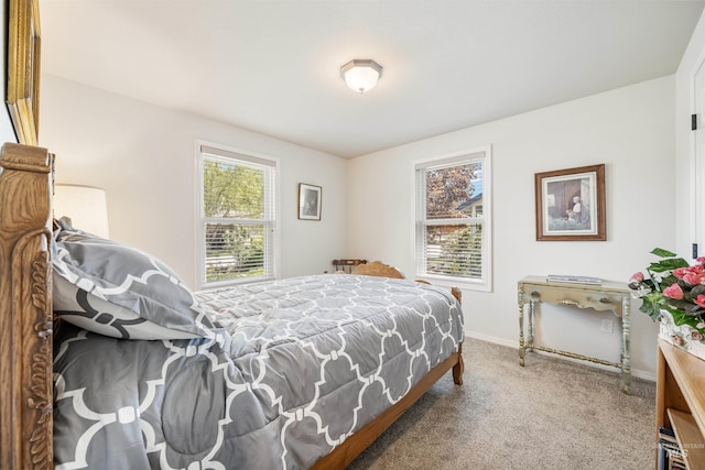 1177 N Lopez Ave, Eagle, ID 83616 - carpeted bedroom with baseboards