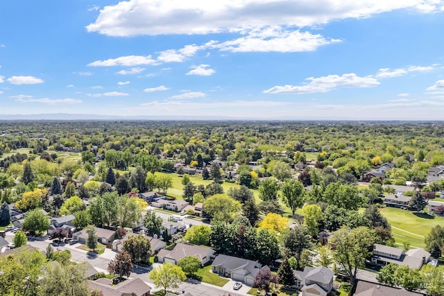 1177 N Lopez Ave, Eagle, ID 83616 - aerial view of residential area with a heavily wooded area