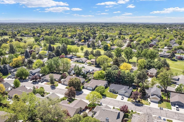 1177 N Lopez Ave, Eagle, ID 83616 - aerial view of residential area