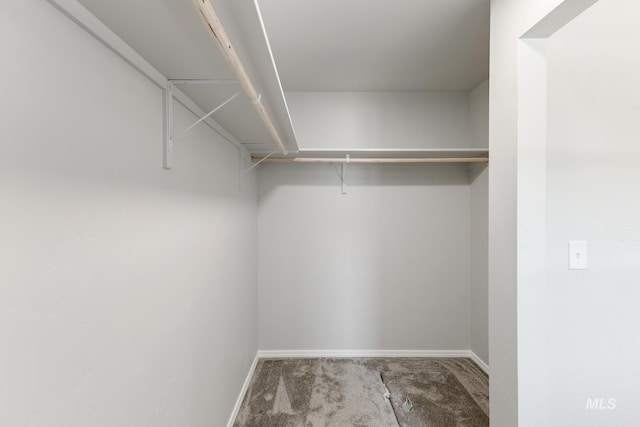 13729 Higley Ct, Caldwell, ID 83607 - walk in closet with carpet flooring
