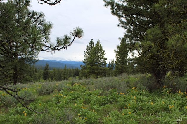 view of local wilderness featuring a mountain view