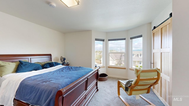 bedroom featuring carpet flooring, baseboards, and a barn door