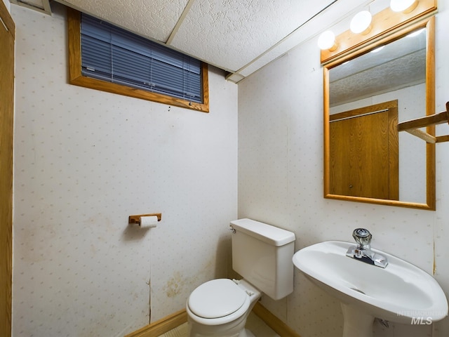 bathroom featuring sink and toilet