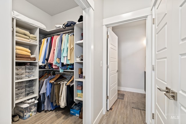 spacious closet featuring wood-type flooring