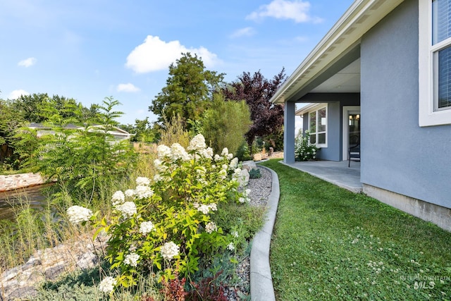 view of yard with a patio area