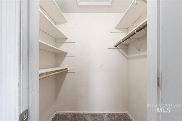 spacious closet with carpet