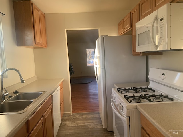 kitchen featuring sink, white appliances, and dark hardwood / wood-style floors