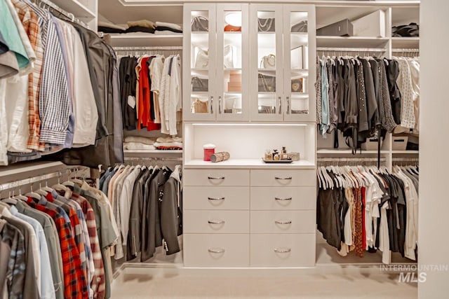5946 E Barber Dr, Boise, ID 83716 - view of spacious closet