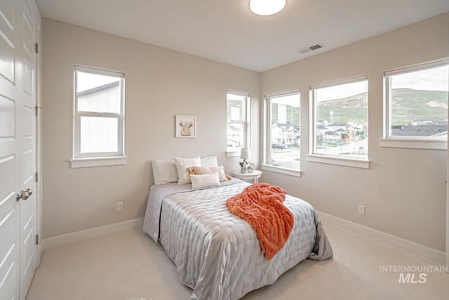 5946 E Barber Dr, Boise, ID 83716 - bedroom featuring visible vents, multiple windows, and light carpet