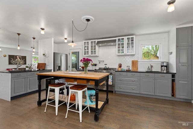 kitchen with gray cabinetry, stainless steel appliances, and a wealth of natural light