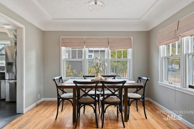 dining room featuring light wood-type flooring, a textured ceiling, and a healthy amount of sunlight