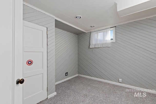 basement with carpet flooring and wooden walls