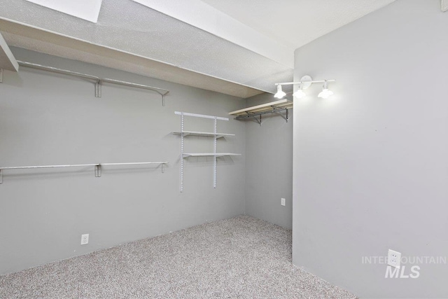 176 Taylor St, Twin Falls, ID 83301 - spacious closet featuring carpet flooring