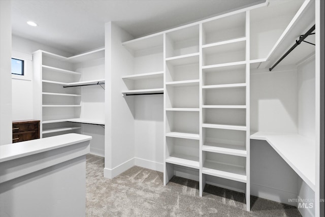 spacious closet with light colored carpet