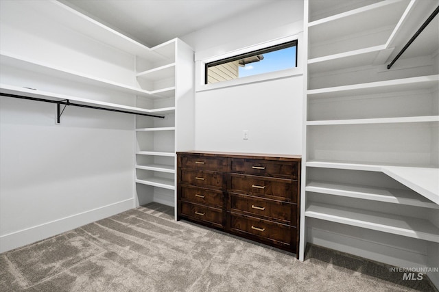 spacious closet with light colored carpet