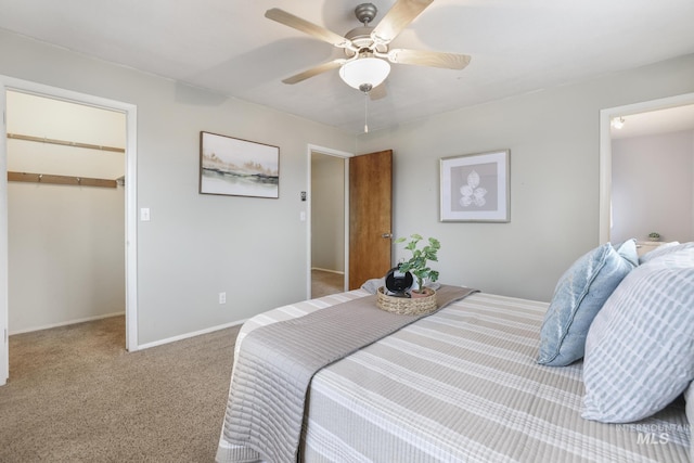 bedroom featuring a walk in closet, light colored carpet, ceiling fan, and a closet