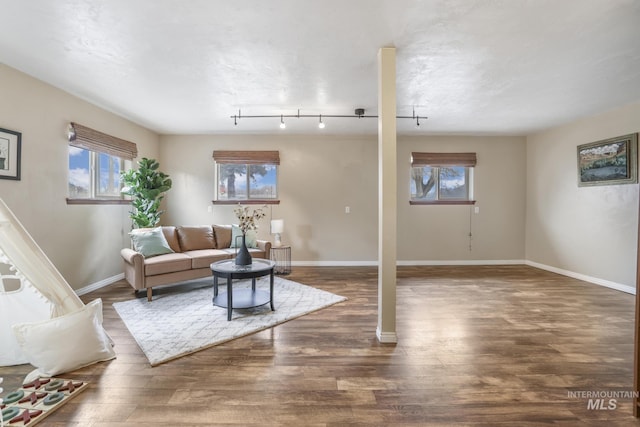 living room with plenty of natural light, dark hardwood / wood-style flooring, and rail lighting