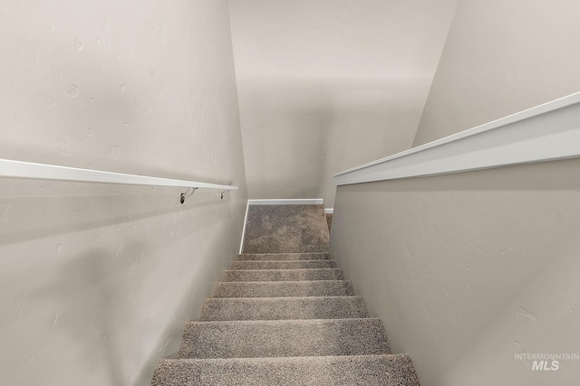 stairway with carpet floors