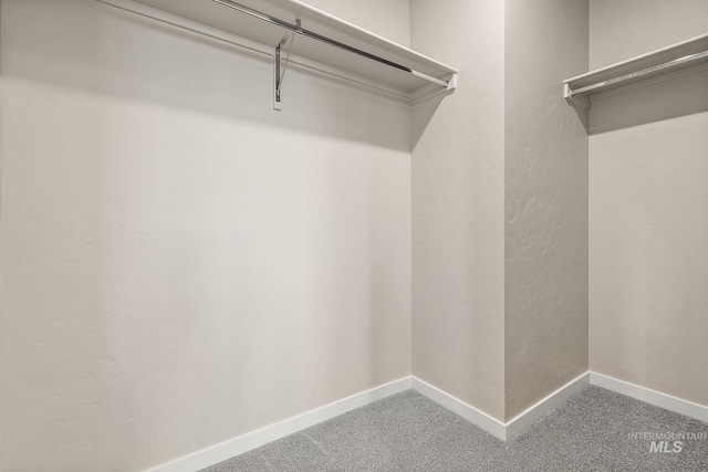 spacious closet featuring carpet floors