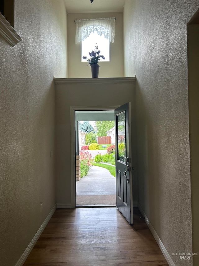 entrance foyer with hardwood / wood-style floors