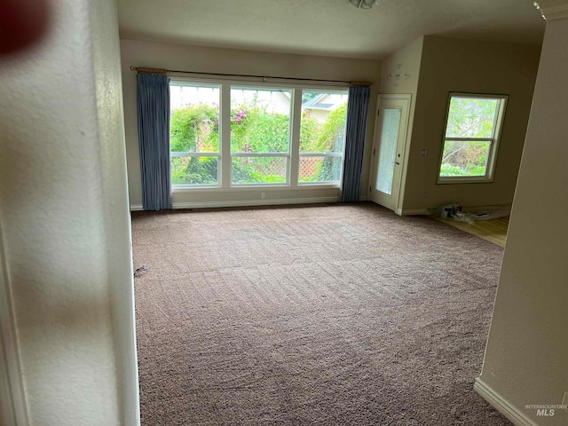 spare room with a healthy amount of sunlight and carpet floors