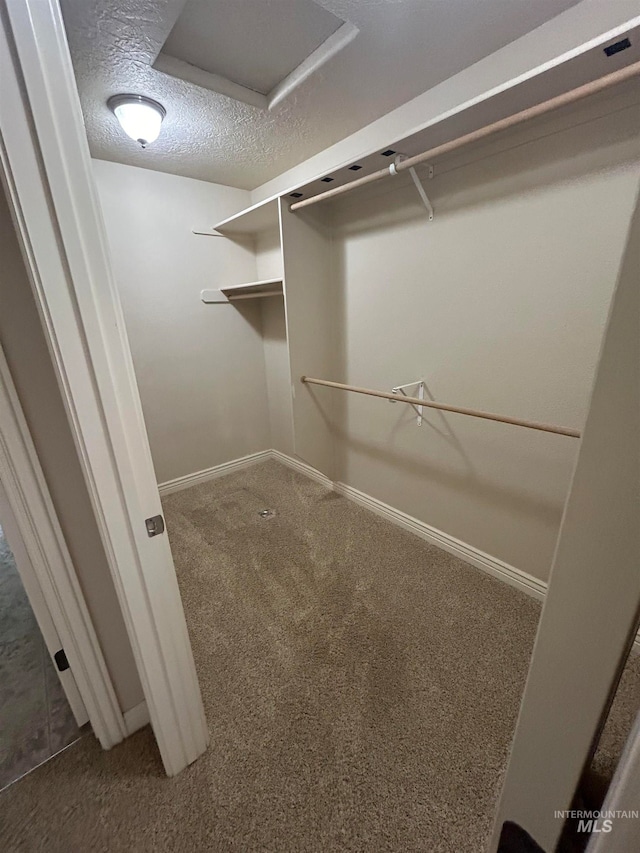 walk in closet with carpet