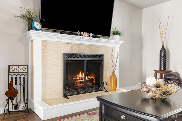 details with wood finished floors and a fireplace