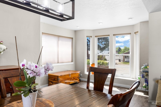 dining space featuring baseboards, a textured ceiling, and wood finished floors