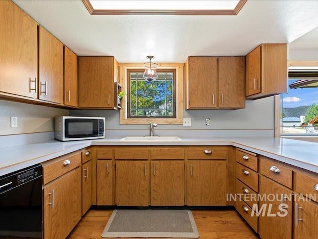 kitchen featuring light wood-style floors, a sink, black dishwasher, and a healthy amount of sunlight