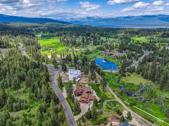4305 Song Sparrow Ct, Mccall, ID 83638 - bird's eye view of a heavily wooded area and a water and mountain view