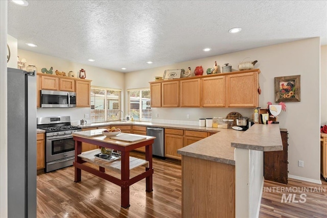 2175 W Willow Pointe Ave, Nampa, ID 83651 - kitchen with stainless steel appliances, a peninsula, a textured ceiling, wood finished floors, and recessed lighting