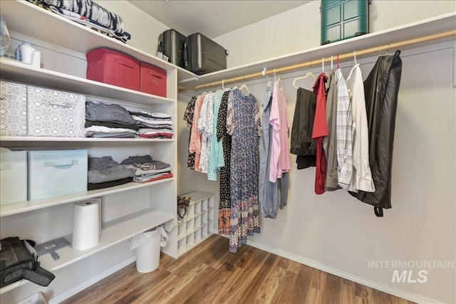 2175 W Willow Pointe Ave, Nampa, ID 83651 - walk in closet featuring wood finished floors
