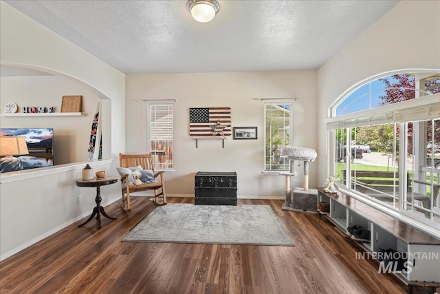 2175 W Willow Pointe Ave, Nampa, ID 83651 - living area with wood finished floors, a textured ceiling, baseboards, and arched walkways