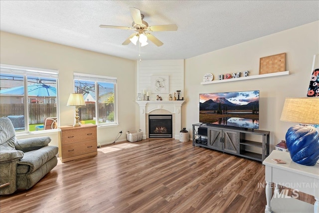 2175 W Willow Pointe Ave, Nampa, ID 83651 - living area featuring wood finished floors, ceiling fan, a textured ceiling, and a fireplace
