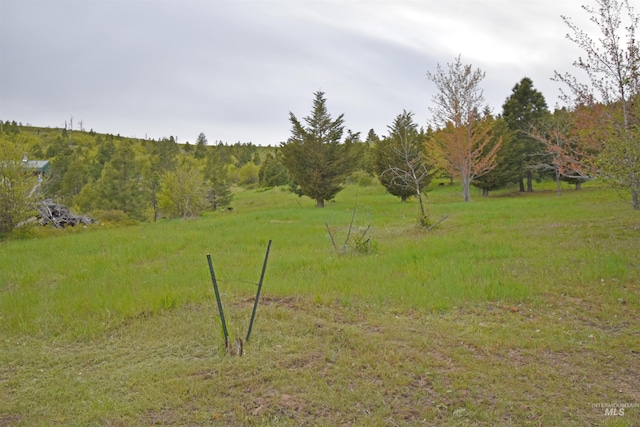 view of yard featuring a rural view