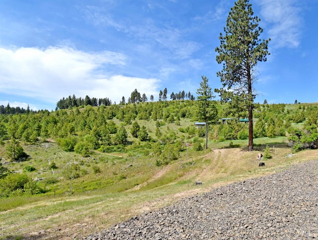 view of local wilderness featuring a rural view