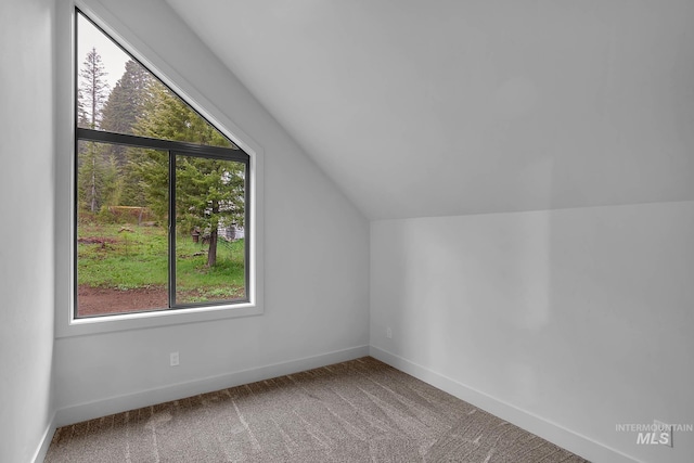 1 Caribou Pkwy, Cascade, ID 83611 - additional living space featuring lofted ceiling, carpet flooring, and baseboards