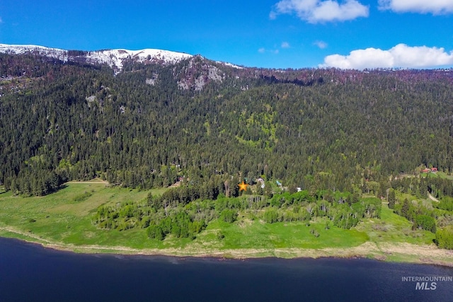 1 Caribou Pkwy, Cascade, ID 83611 - view of mountain backdrop featuring a forest