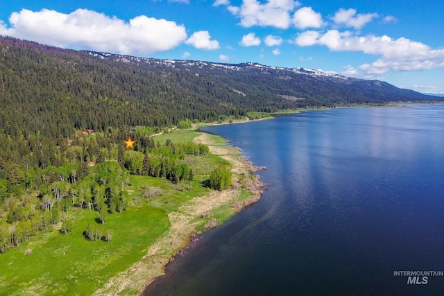 1 Caribou Pkwy, Cascade, ID 83611 - water view with a forest and a mountain backdrop