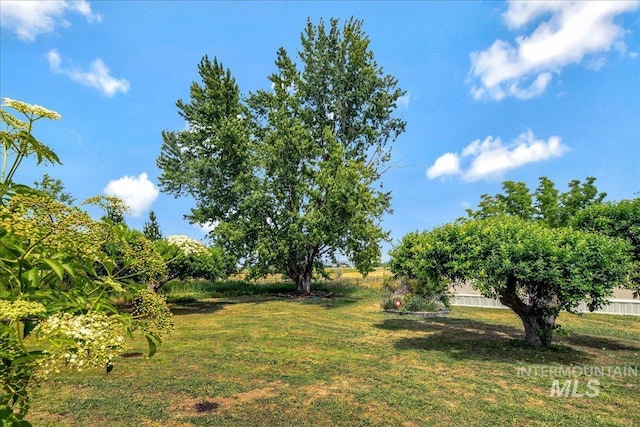 3600 S Robinson Blvd, Nampa, ID 83686 - view of green lawn