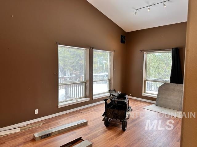 workout room featuring light wood-type flooring, high vaulted ceiling, and track lighting